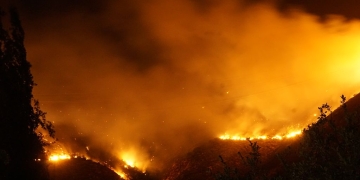 Minst 18 personer har omkommit i de skogsbränder som härjar i Chile. Undantagstillstånd råder och över 50 000 människor har evakuerats.