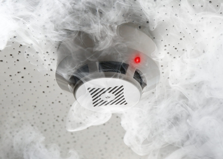 En brandvarnare väckte familjen som förlorade sitt hus i brand på nyårsdagen i Snällsböke. Ingen omkom, enligt tidningen Smålänningen.